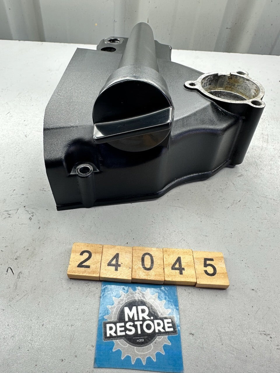 Triumph Daytona Speed Triple T300 Sprint Trident - Sprocket Cover & Dipstick