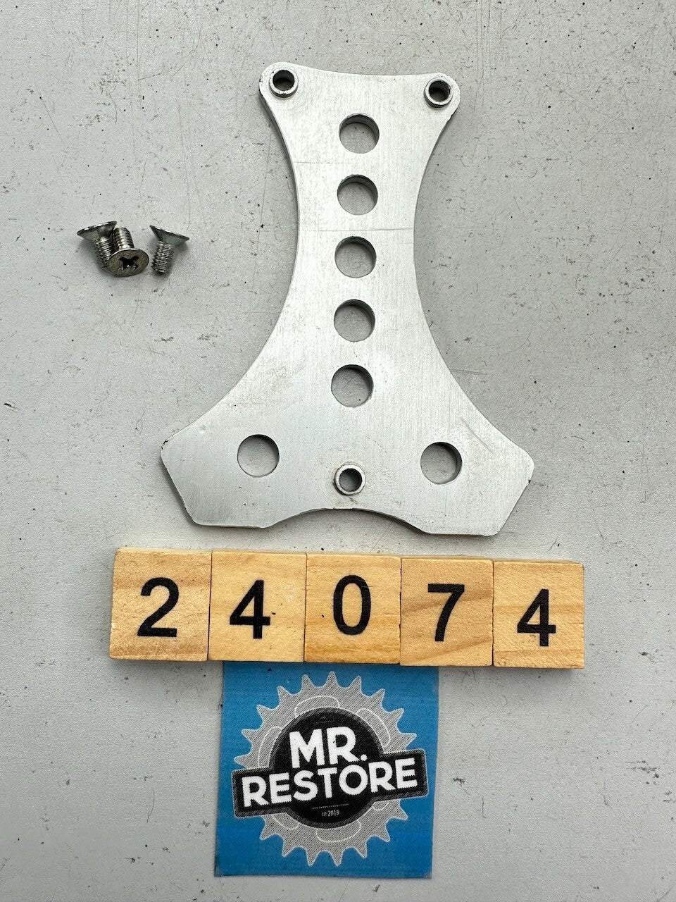 Triumph Speed Triple T300 - Dash Meters Plate & Screws T2502070