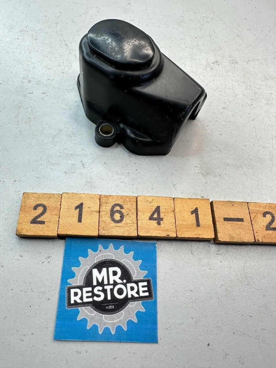 Yamaha Beluga Jog Oil Pump Cover & Bung 24G-15416-00