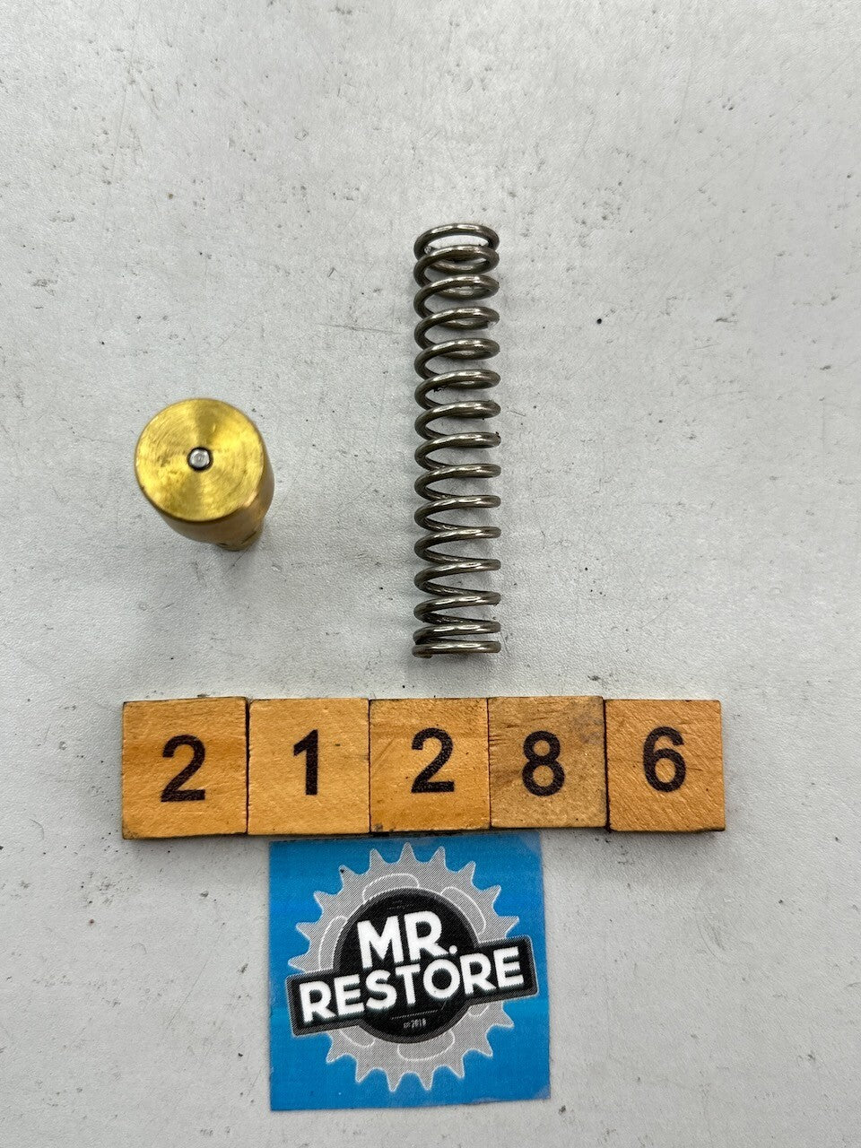 BMW R1150GS R1200GS R1100GS R850GS R1200S R1200C Oil Expanding Element & Spring