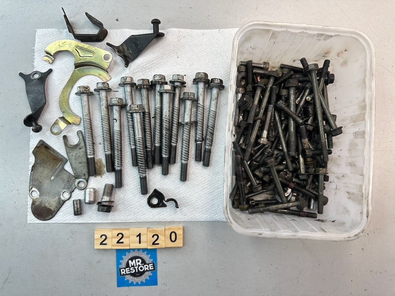 Yamaha YZF600R Thundercat Engine Bolts, Plates etc.