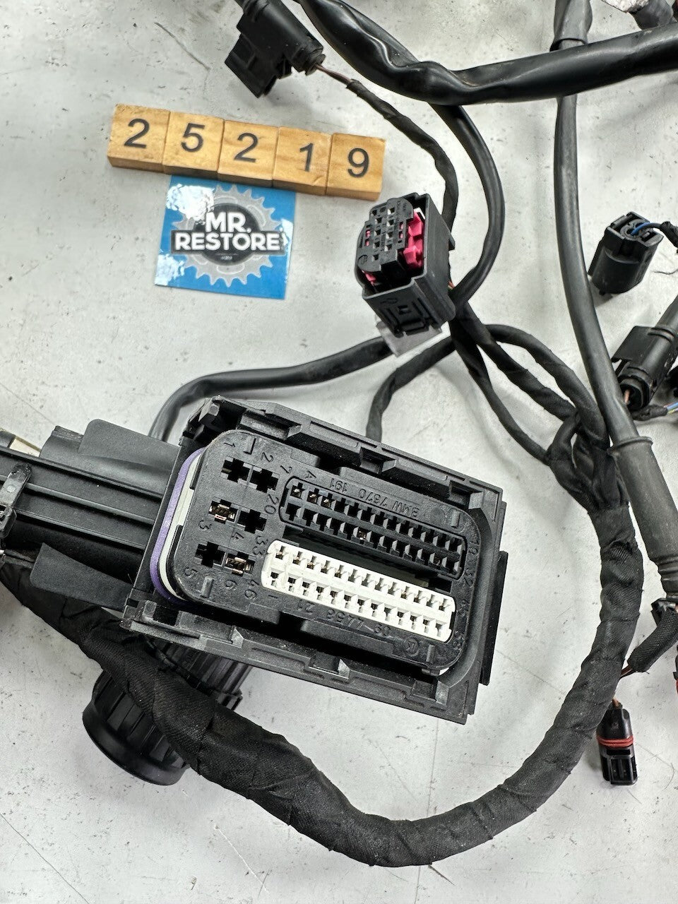 BMW K1300R Wiring Harness (with ABS & ESA) (Australian Bike) 61117712926