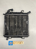 Aprilia SR50 Di-Tech Radiator - OEM