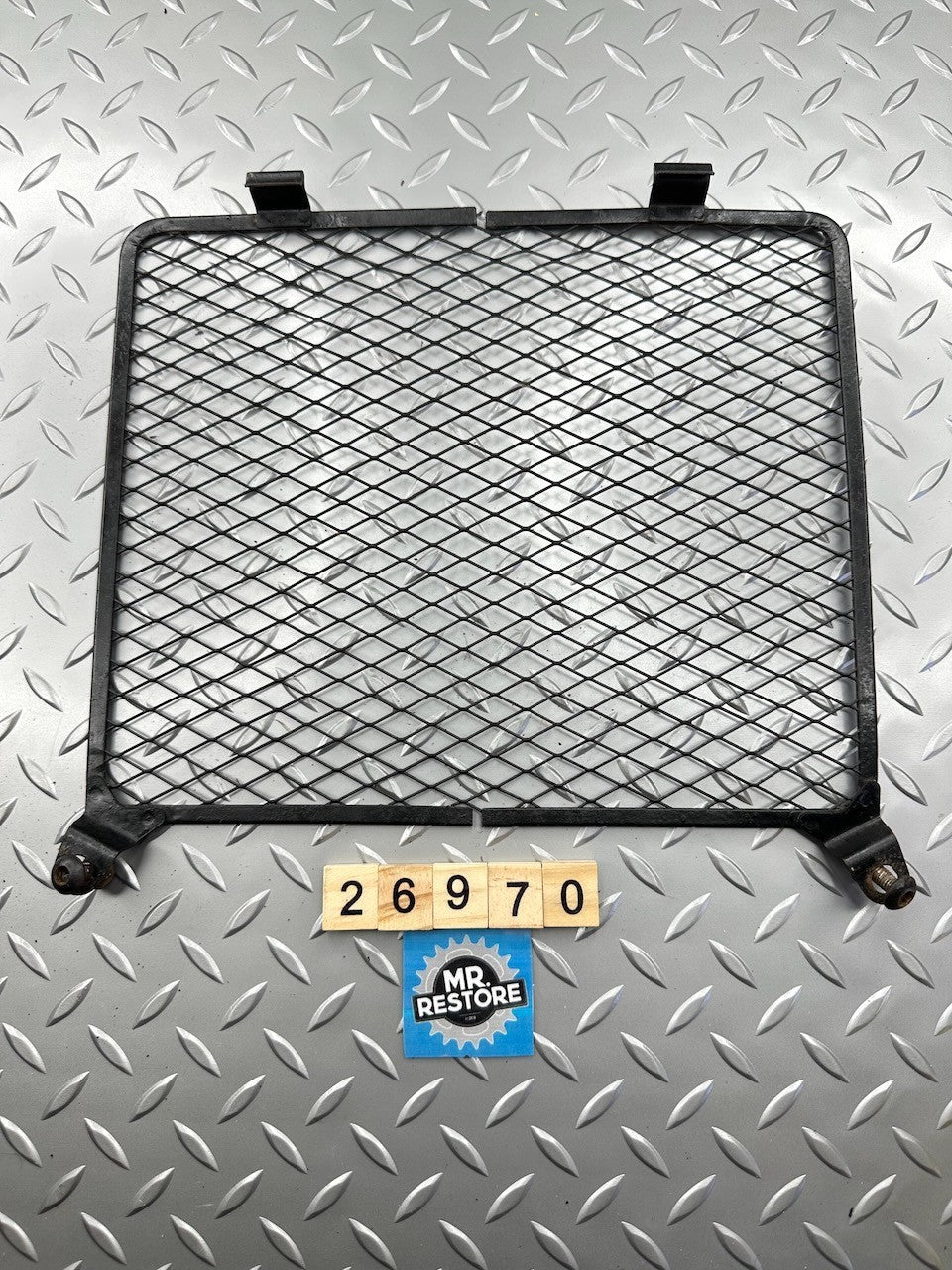 Kawasaki ZR250 EX500 EX400 KLE500 KLE400 KR250 Radiator Protector Grille