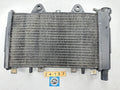 Triumph Speed Triple T300 Trident - Radiator 2101302-T0301