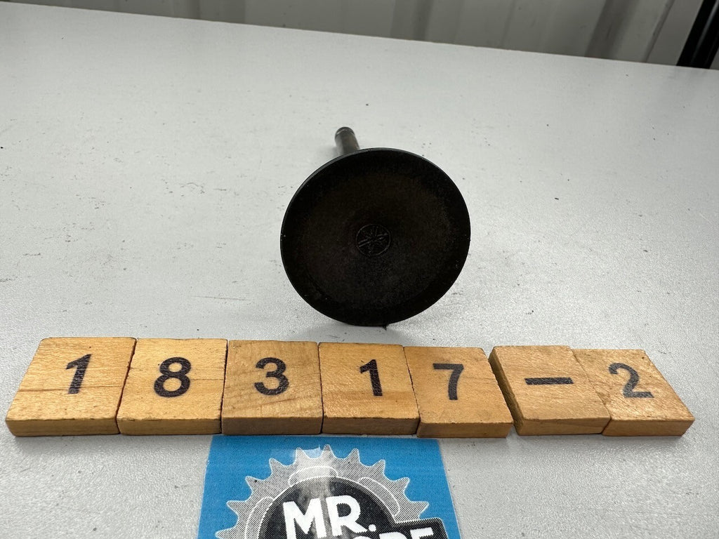 Yamaha TX750 TX650 XS650 XS1 XS2 OEM Intake Valve 341-12111-04
