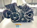Triumph Speed Triple Tiger Sprint T300 1995 Crank Cases