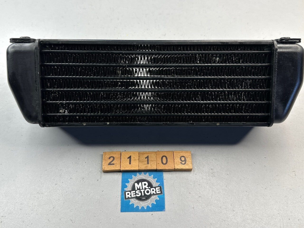 BMW R1150GS Oil Cooler Radiator 17211342924