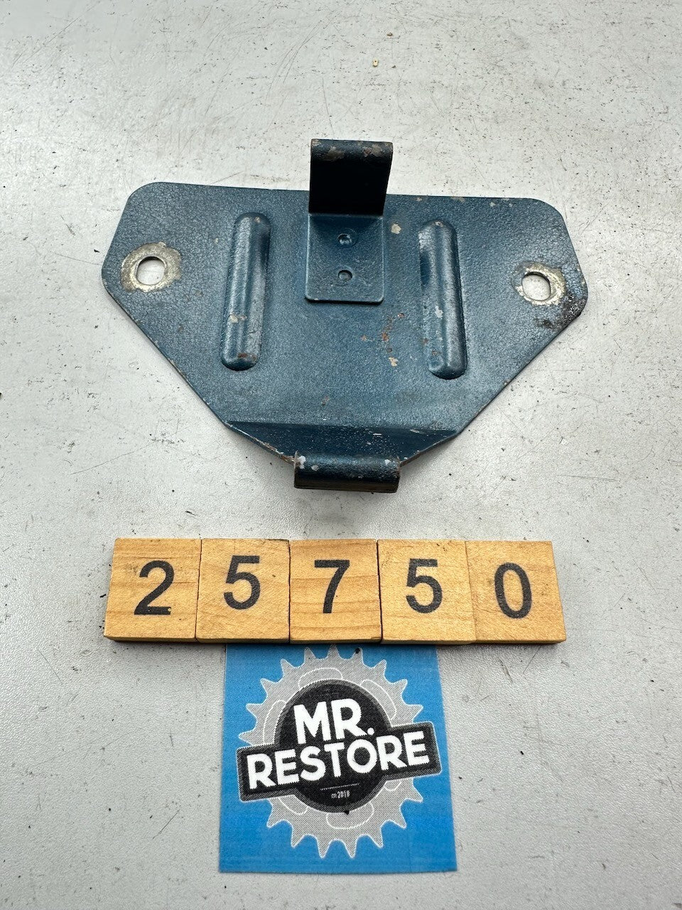 Kawasaki Z250 A - Rear Seat Cover Plate 13169-1116
