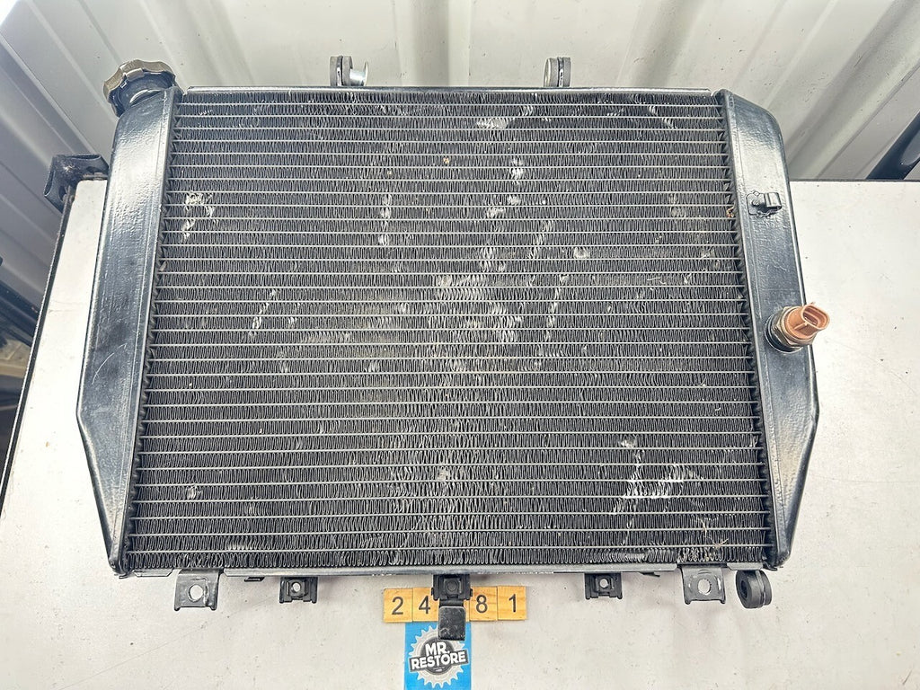 Kawasaki ZX1200 ZX-12R '02-06' Radiator, Cap & Fan Switch 39061-1304
