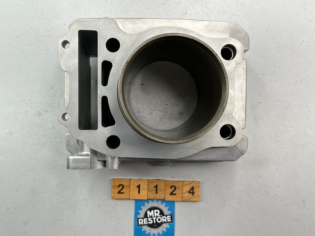Suzuki DR250 S 1990-1994 Cylinder @73mm - Vapour Blasted