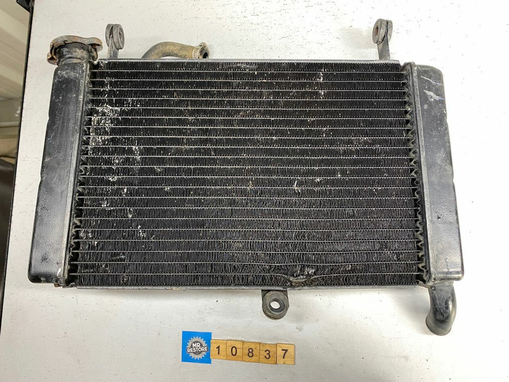 Yamaha YZF600R Thundercat Radiator & Cap 4TV-12461