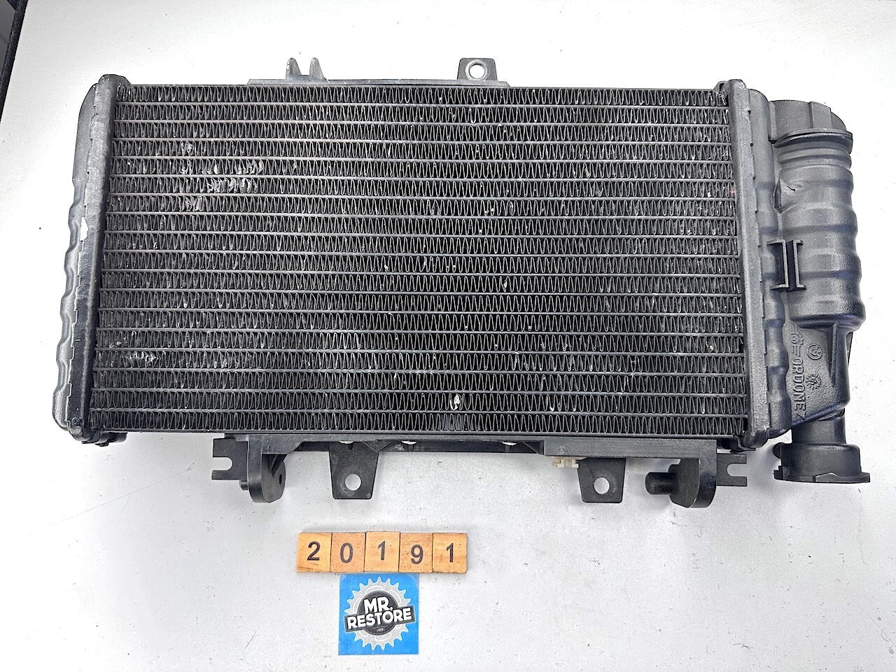 BMW F800S F800ST F800R F700GS F650GS Radiator 17117678284