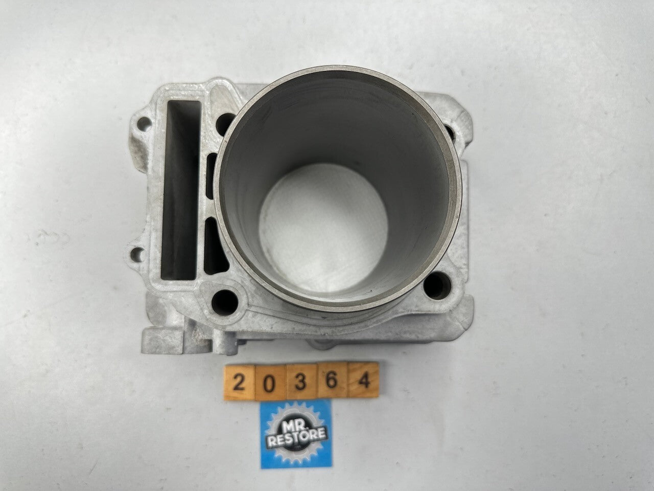 Suzuki DR350 Cylinder Barrel Standard Bore 79mm