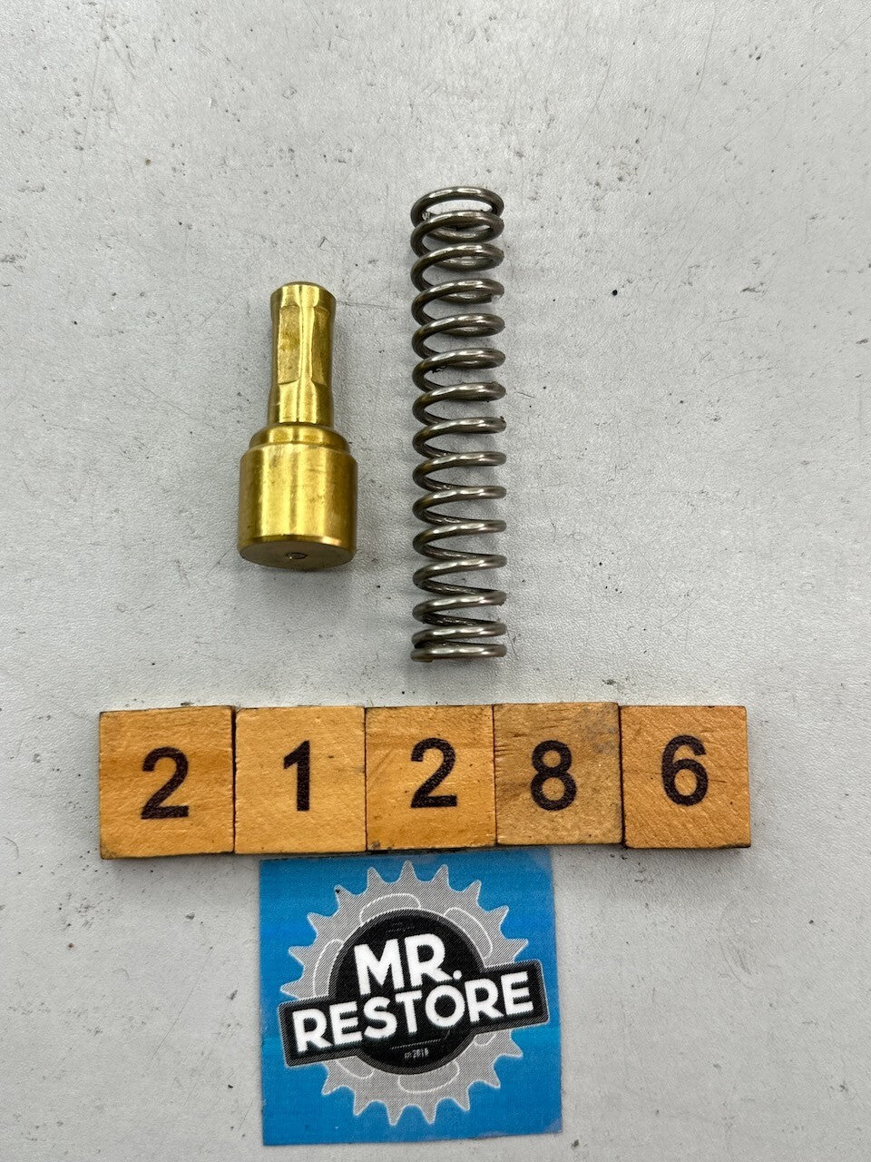 BMW R1150GS R1200GS R1100GS R850GS R1200S R1200C Oil Expanding Element & Spring