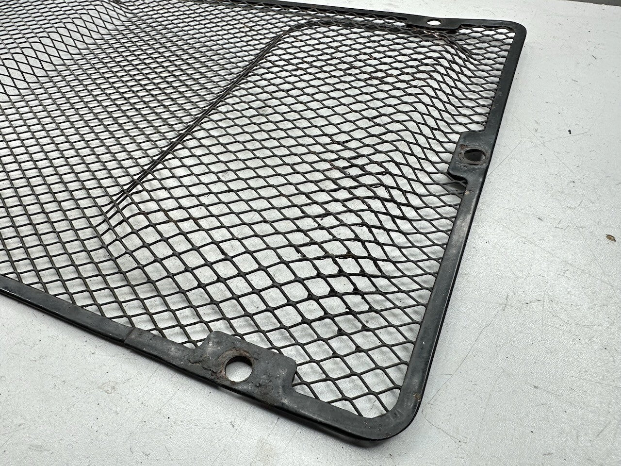 Kawasaki Z1300 KZ1300 ZG1300 OEM Radiator Screen Guard & Dome Nuts 14037-1001