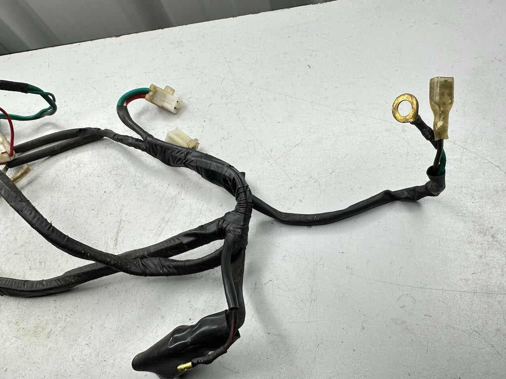 Thumpstar Hunge 10 110 - Wire Harness Loom