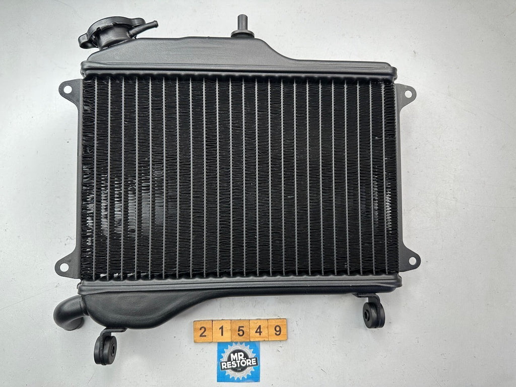 Yamaha TZR250 1KT 2MA Radiator Assy. & Cap 1KT-12460