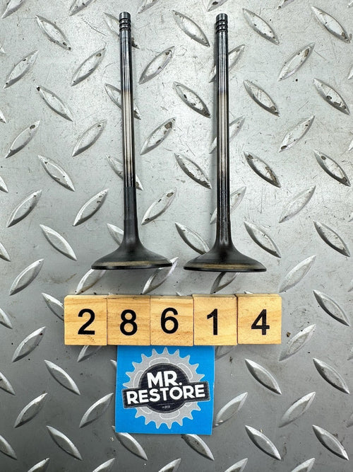 BMW G650GS '08-16' G650 Xcountry Pair of Exhaust Valves (5000 K's) 11347700230