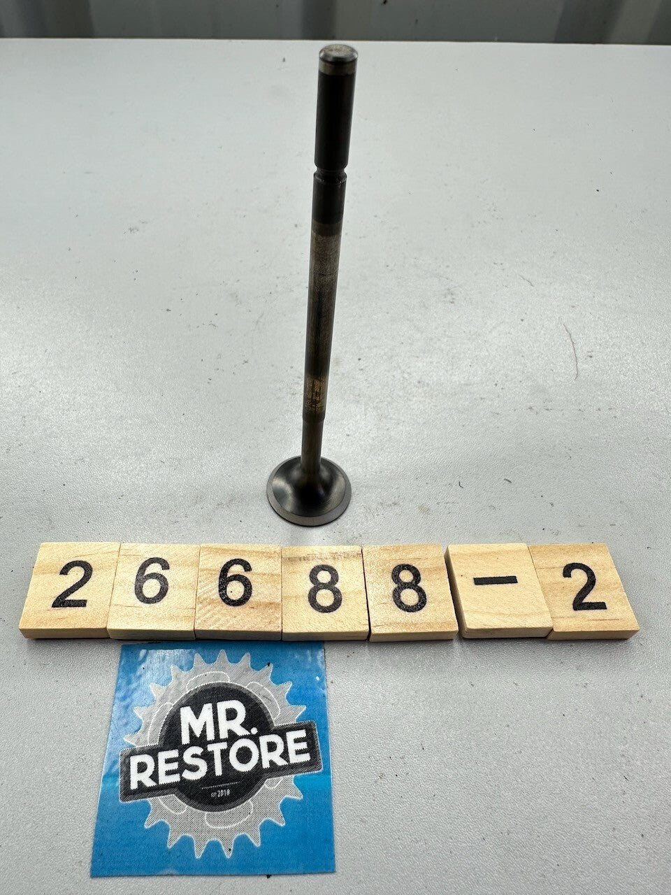 Yamaha FZ750 Valve 1AA: