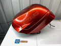 Suzuki GSX250F Across Luggage Trunk