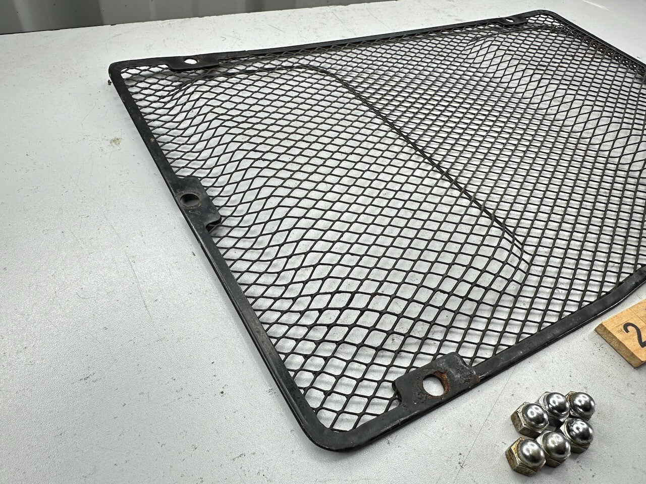 Kawasaki Z1300 KZ1300 ZG1300 OEM Radiator Screen Guard & Dome Nuts 14037-1001