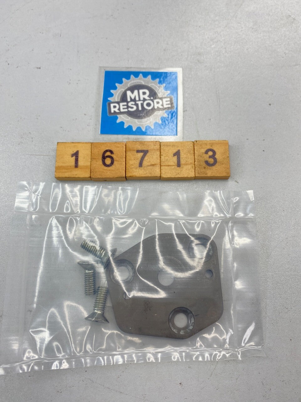 Suzuki RGV250 1989-96 Oil Pump Cover & Screws 16431-12C00