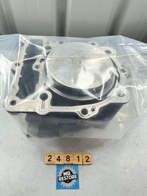 BMW G650GS '08-16' Cylinder & Piston @ Std. 100mm 11117700201  11117700087