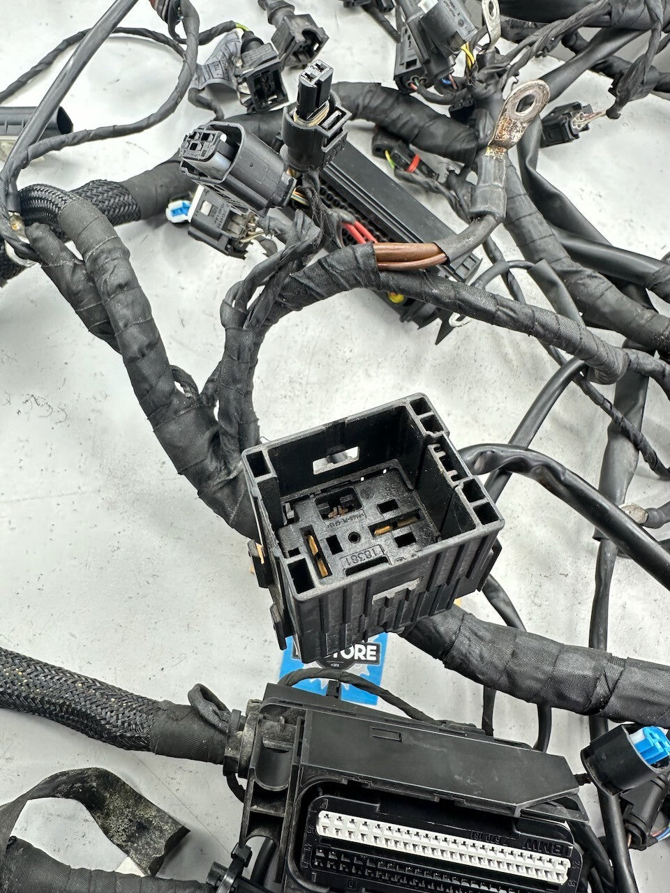 BMW K1300R Wiring Harness (with ABS & ESA) (Australian Bike) 61117712926