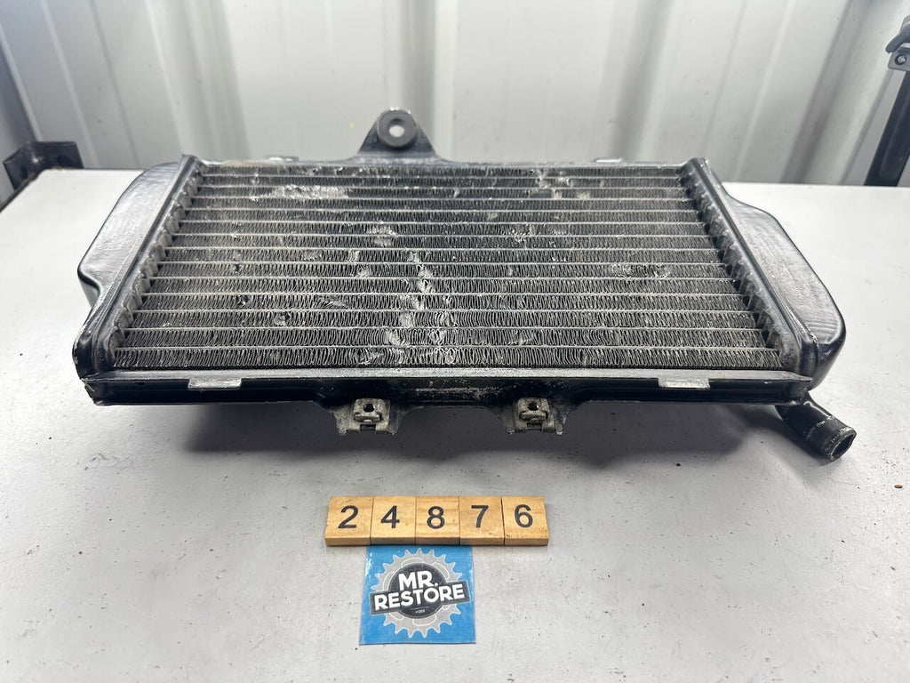 Yamaha FZR250 3LN '89-94' Radiator 3LN-12461  3LN-12461-00-00