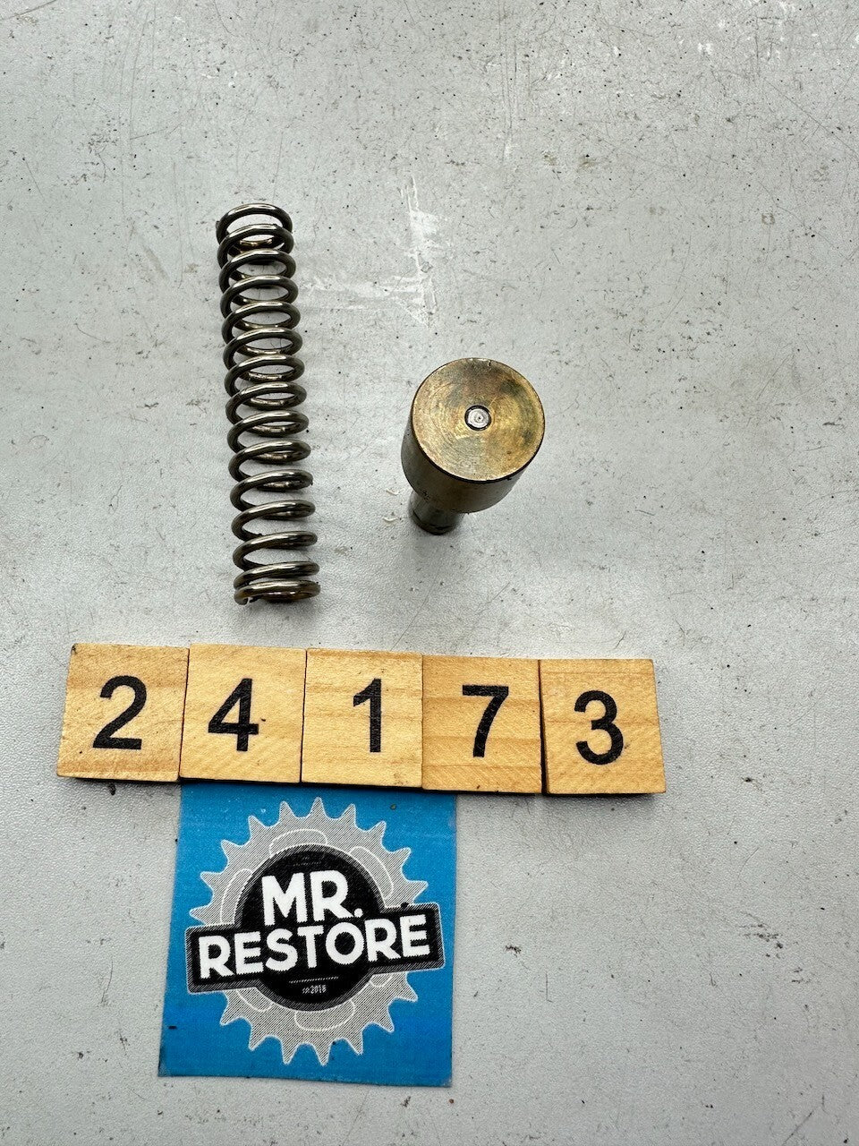 BMW R1150GS R1200GS R1100GS R850GS R1200S R1200C Oil Expanding Element & Spring
