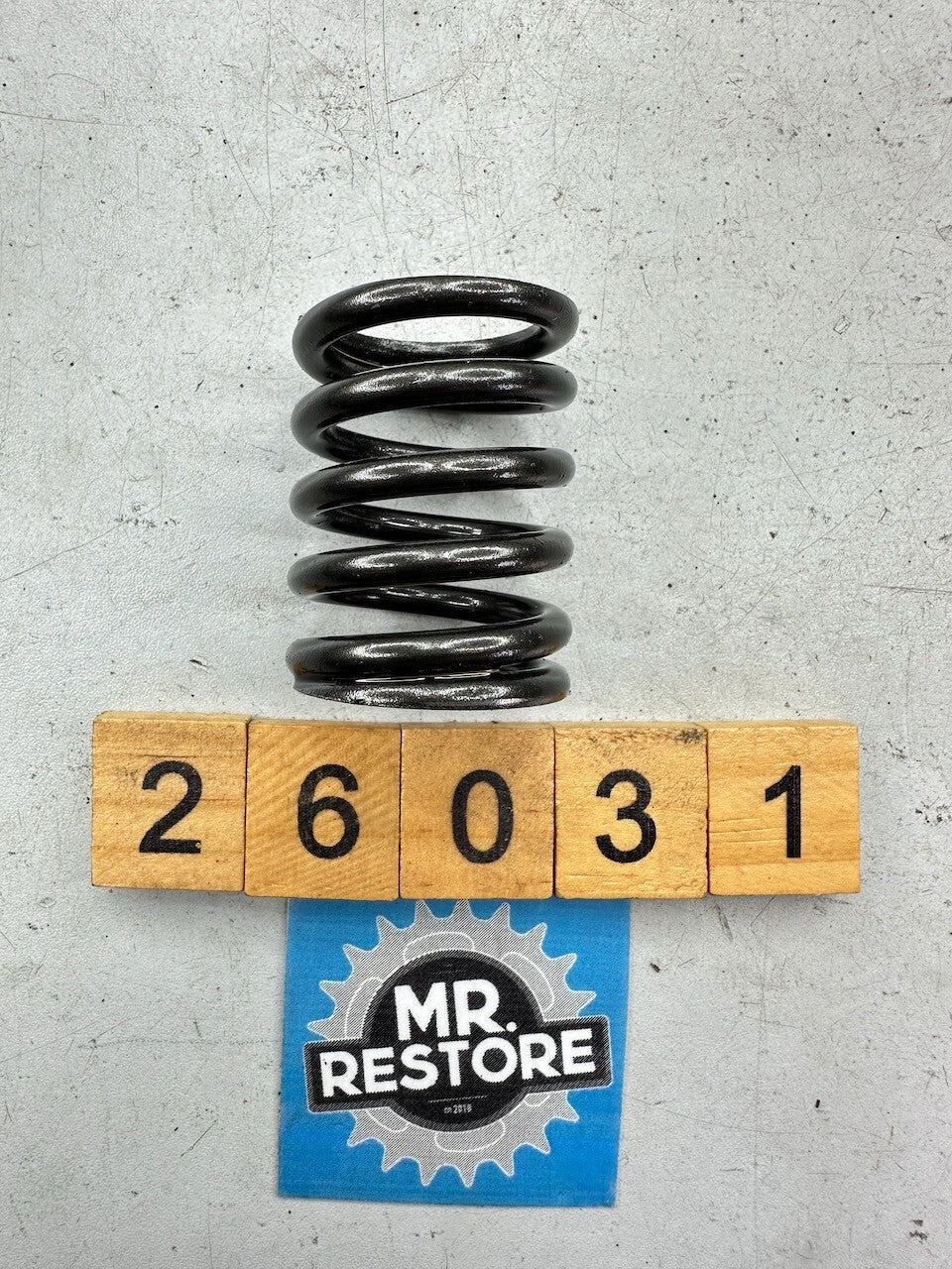 Kawasaki Z1300 KZ1300 '79-82' + Many Models - Outer Valve Spring 12007-012