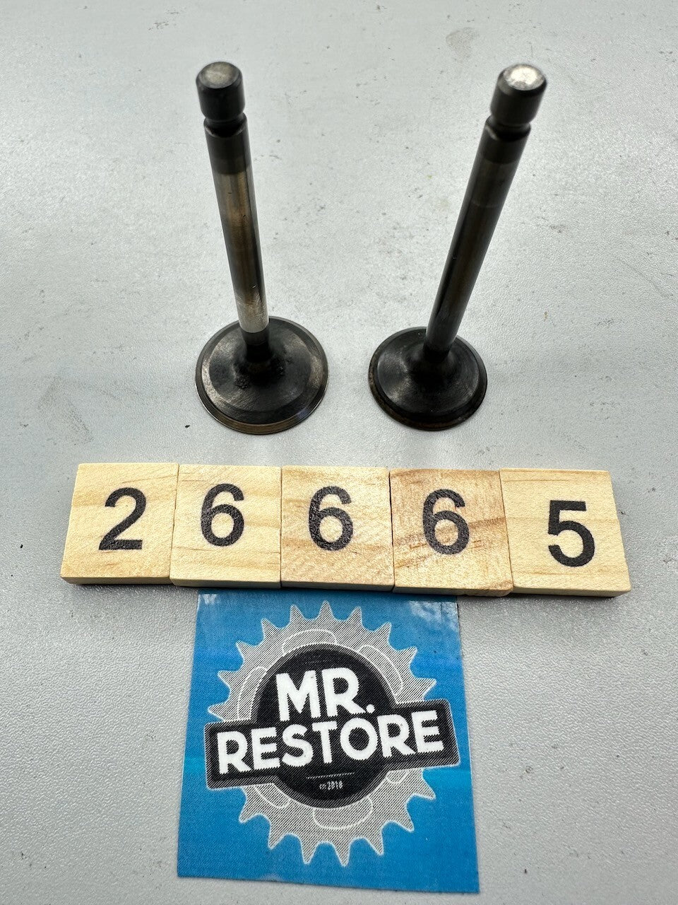 Yamaha XV250 XVS250 SRV250 Pair of Valves 5KR-12111-00 5KR-12121-00