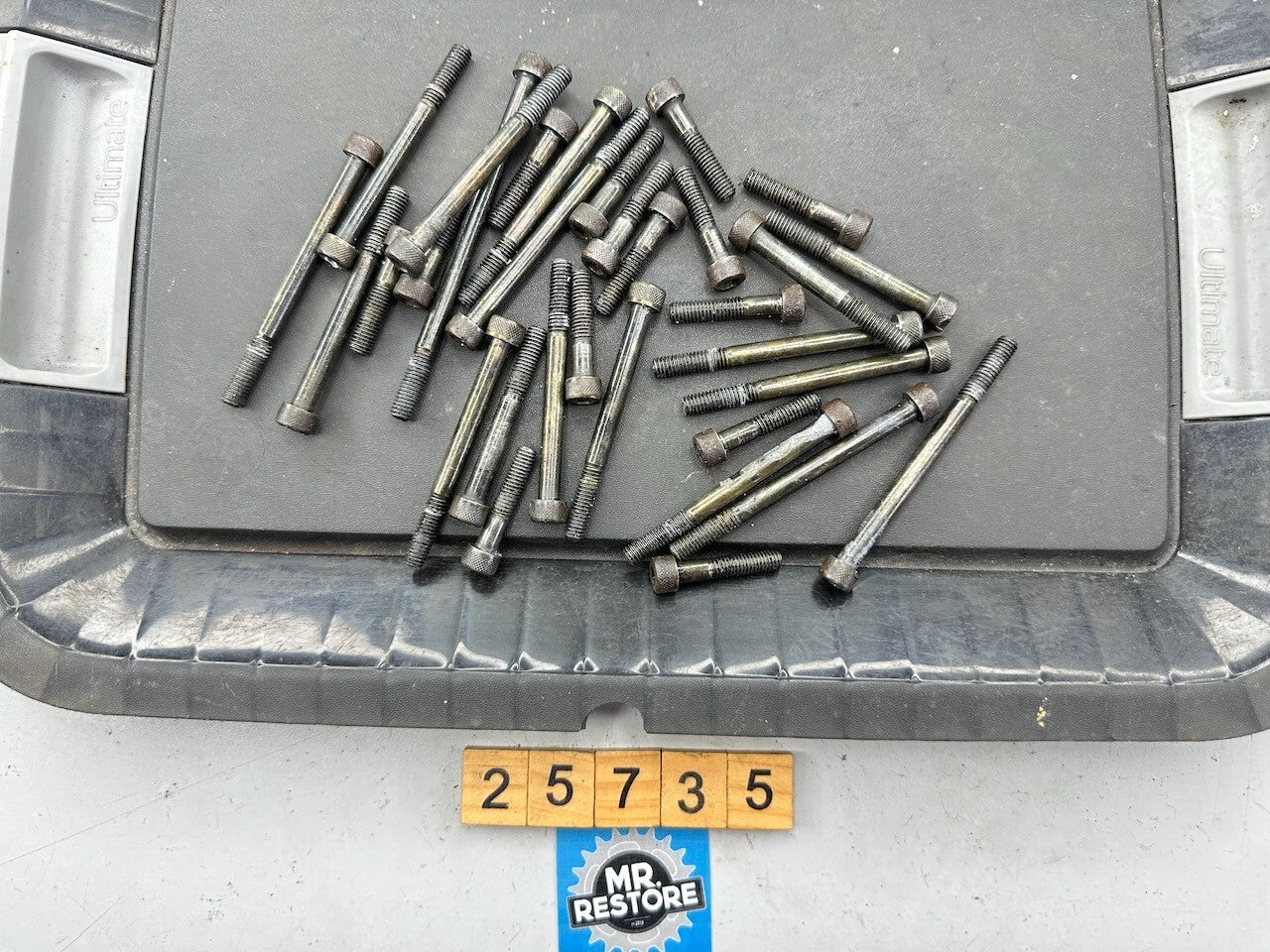 Yamaha TY250 A 1974 OEM Allen Engine / Crankcase Bolts