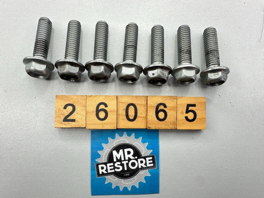 Kawasaki Z1300 KZ1300 + Many Models OEMFront & Rear Brake Disc Bolt (set of 7)