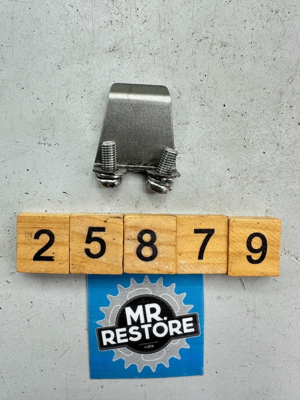 Kawasaki Z1300 KZ1300 '79-81' Generator Lead Clamp & Screws 92037-1098