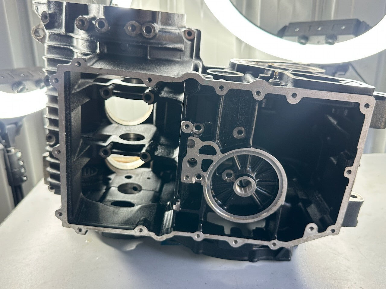 Triumph Speed Triple Tiger Sprint T300 1995 Crank Cases