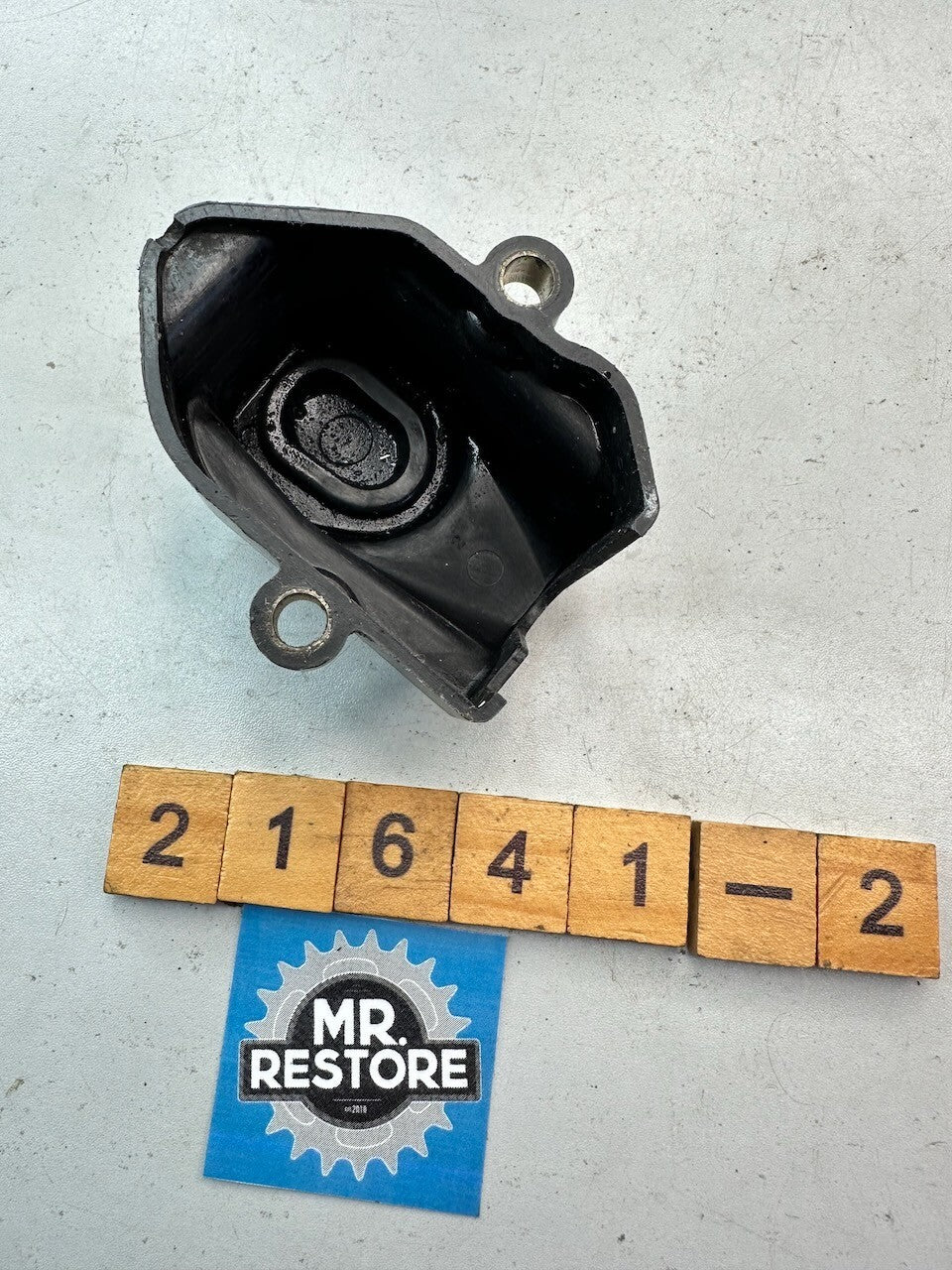 Yamaha Beluga Jog Oil Pump Cover & Bung 24G-15416-00