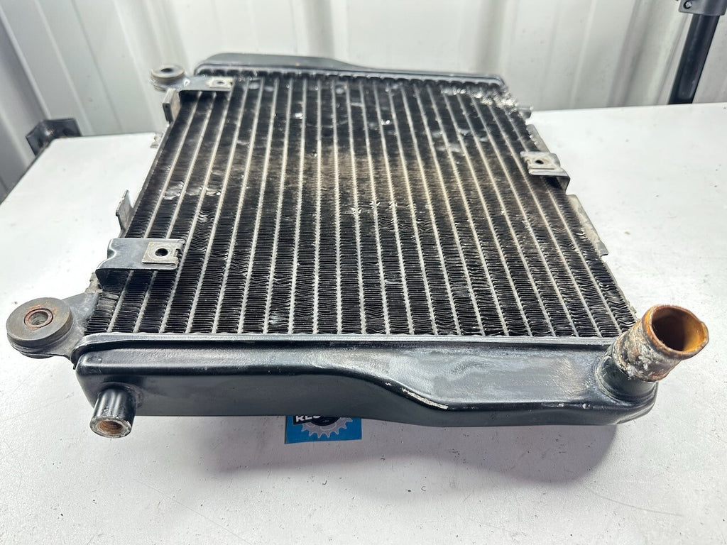 Kawasaki ZX1000 GPZ1000 RX - Radiator & Mesh 39060-1063