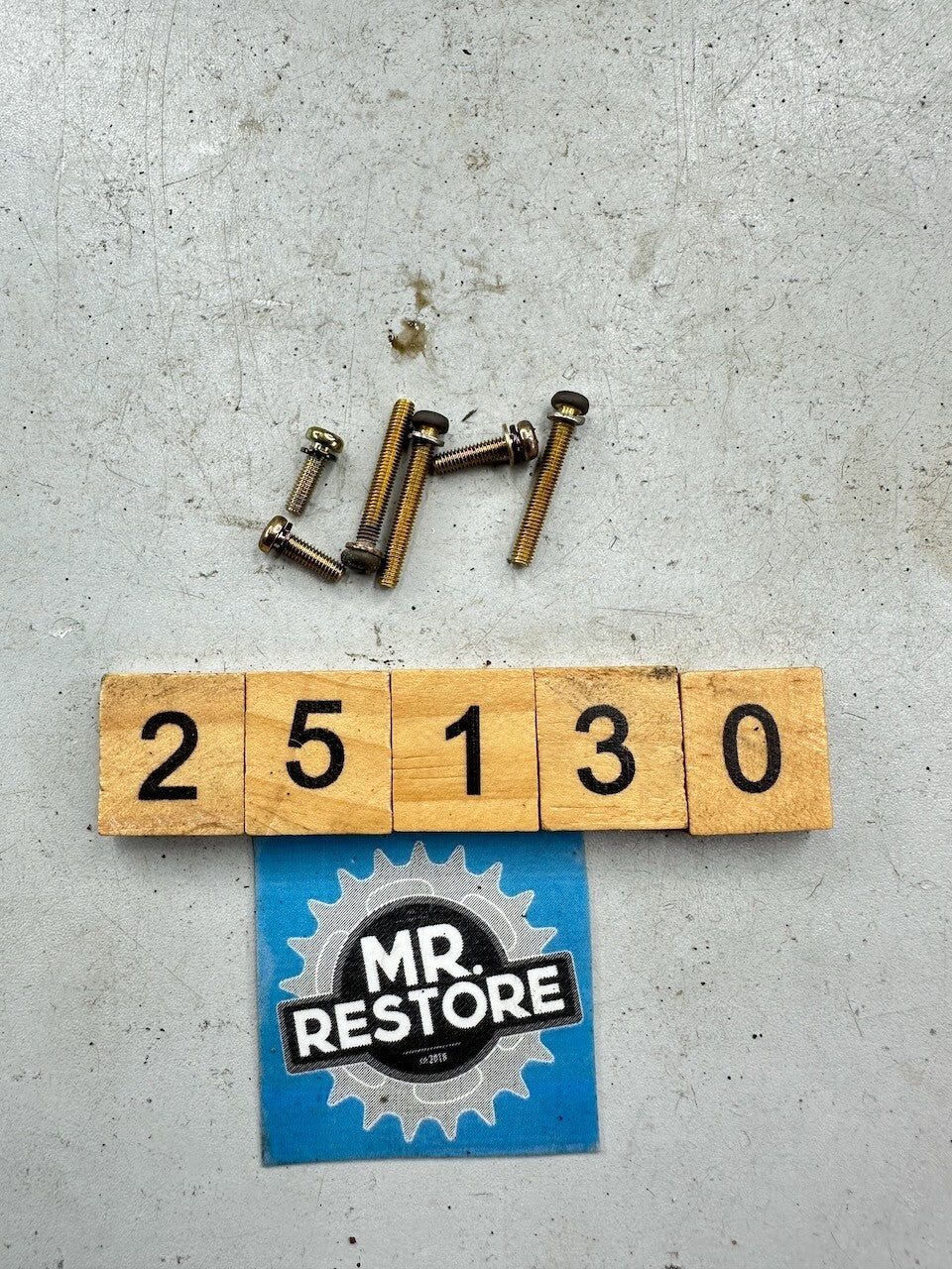 Yamaha RZ250 RZ350 Meters Dash Lights Harness & Screws