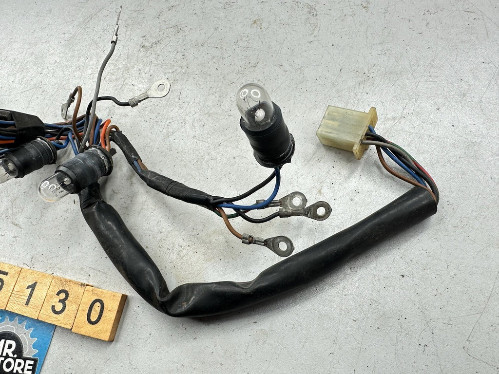 Yamaha RZ250 RZ350 Meters Dash Lights Harness & Screws