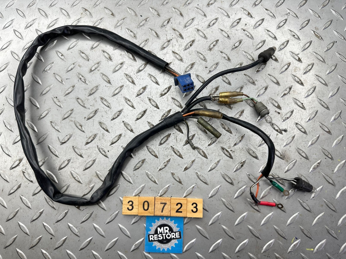 Suzuki RGV250 1991-96 Meters Pilot Wire Harness 3417022D00