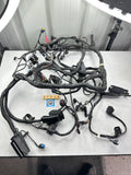 BMW K1300R Wiring Harness (with ABS & ESA) (Australian Bike) 61117712926