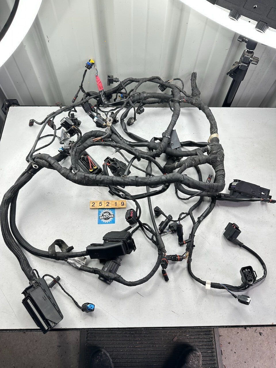 BMW K1300R Wiring Harness (with ABS & ESA) (Australian Bike) 61117712926