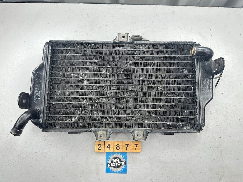 Yamaha FZR250 3LN '89-94' Radiator 3LN-12461  3LN-12461-00-00