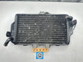 Yamaha FZR250 3LN '89-94' Radiator 3LN-12461  3LN-12461-00-00