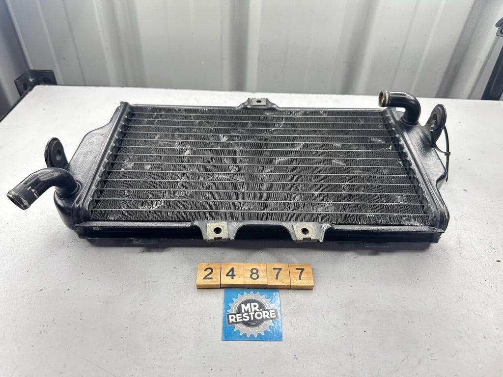 Yamaha FZR250 3LN '89-94' Radiator 3LN-12461  3LN-12461-00-00
