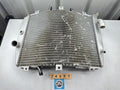 Kawasaki ZXR600 ZX600 ZX6R '98-99' OEM Radiator 39061-1265