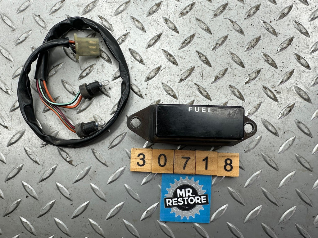 Suzuki GSX250F Across Pilot Light Lamp Box Assy. & Harness 36380-24D01