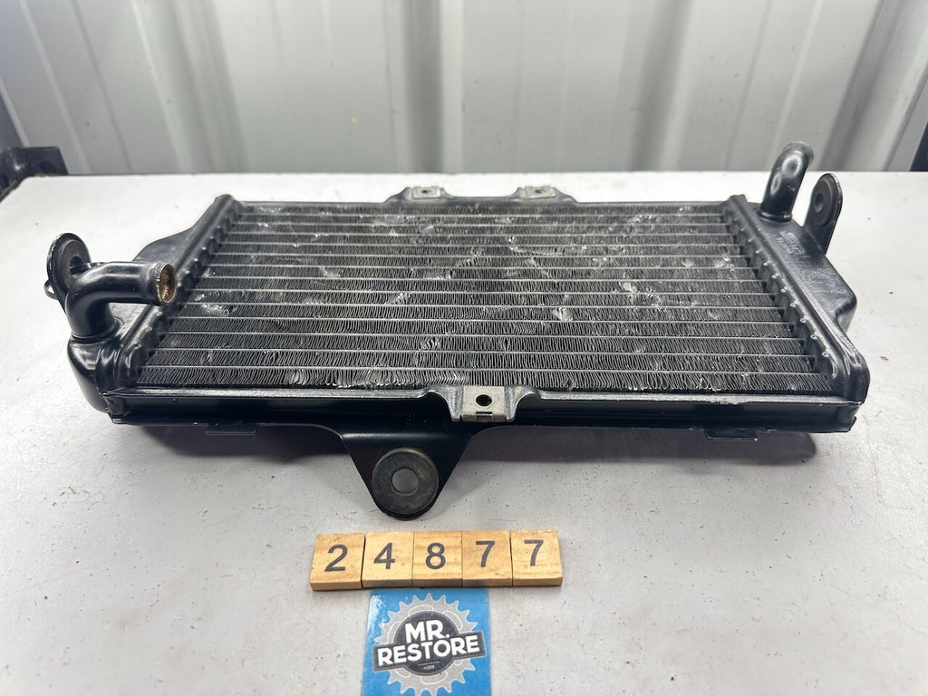 Yamaha FZR250 3LN '89-94' Radiator 3LN-12461  3LN-12461-00-00